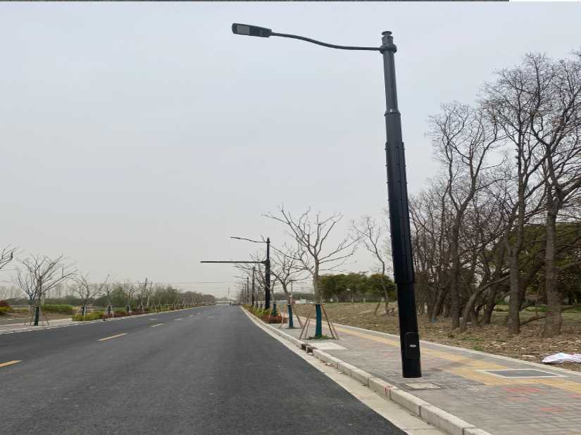 隆昌市上海综合杆 太阳能路灯工程